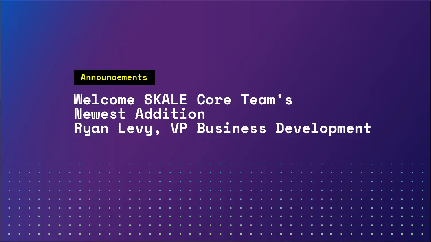 Welcome the Newest Core Team Member - Ryan Levy, VP Business Development | SKALE
