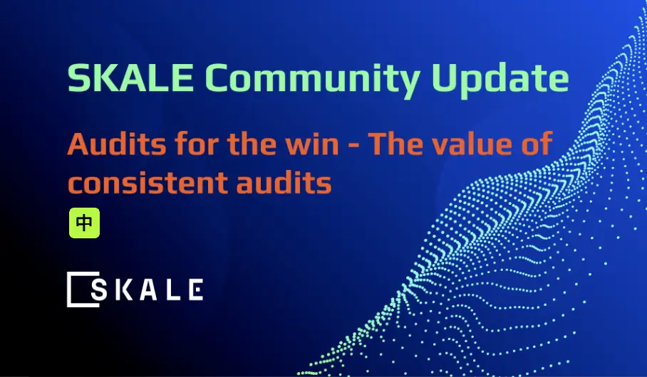 审计的胜利——持续审计的价值 | SKALE