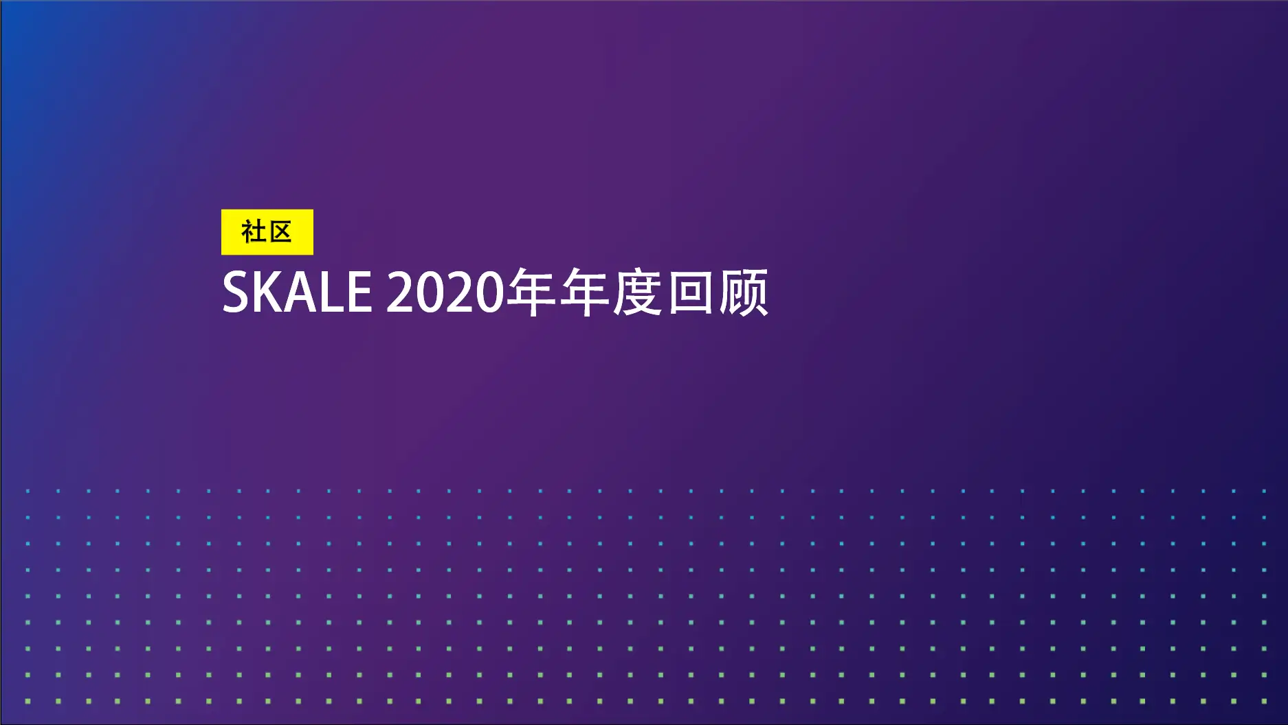 SKALE 2020年年度回顾 | SKALE